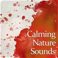 Wine Dark Sea - Lovely Nature Music Zone
