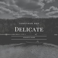 Delicate - Jonathan Roy