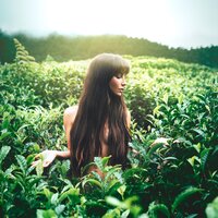 Voy a Devorarte - Brenda Asnicar