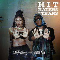 H.I.T (Haters In Tears) - Wendy Shay, Shatta Wale