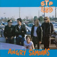 Stp Not Lsd - Angry Samoans