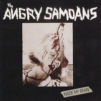 Right Side of My Mind - Angry Samoans