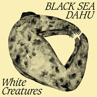 In Case I Fall for You - Black Sea Dahu