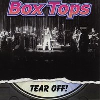 Ain't that a lot of love - The Box Tops