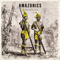Don't Stop 'Til You Get Enough - Amazonics