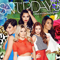 What Are You Waiting For? - The Saturdays, Luvbug