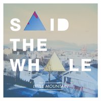 We Are 1980 - Said The Whale