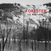 Too Many Bones - Forester