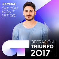 Say You Won't Let Go - Cepeda