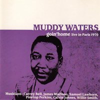 Chicken Shack - Muddy Waters