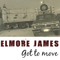 Stanger Blues - Elmore James