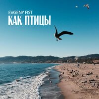 Птицы - Evgeny Fist