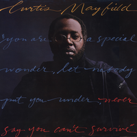 Just Want To Be With You - Curtis Mayfield