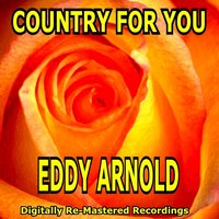 I Could Believe It Was True - Eddy Arnold