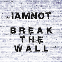 Break The Wall - iamnot