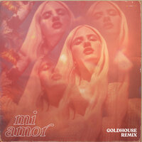 Mi Amor - Nova Miller, GOLDHOUSE