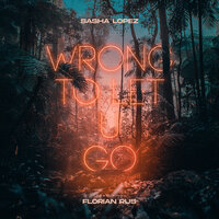 Wrong to Let U Go - Sasha Lopez, Florian Rus