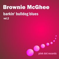 Back Door Stranger - Brownie McGhee