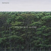 You're Not Alone - Semisonic