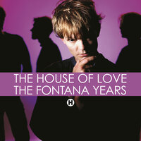 D Song '89 - The House Of Love
