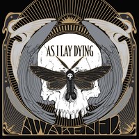 No Lungs to Breathe - As I Lay Dying