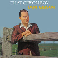 Won t Cha Come Back To Me - Don Gibson