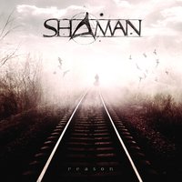 In the Night - Shaman