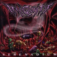 Serenadium - Iniquity