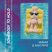 Somebody To Hold - Varmix, Max Fane