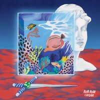 Aquarium - Agar Agar