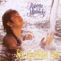 Desespero de uma noite - Roberta Miranda