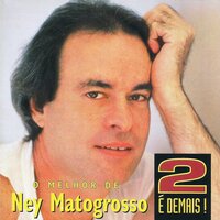 Seu tipo - Ney Matogrosso
