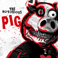 The Notorious Pig - Rockit Gaming