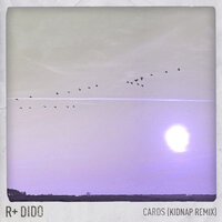 Cards - Dido, R Plus, Kidnap