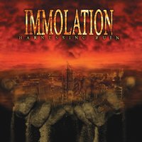 Our Savior Sleeps - Immolation