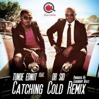 Catching Cold - Tunde Ednut, Dr Sid