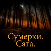 Wedding Plans (From "The Twilight Saga: Eclipse") - The City of Prague Philharmonic Orchestra, Howard Shore, James Fitzpatrick
