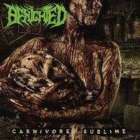 Collection of Dead Portraits - Benighted