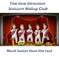The One Direction Unicorn Riding Club
