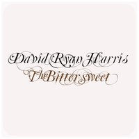 So Real - David Ryan Harris