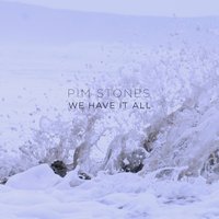 We Have It All - Pim Stones
