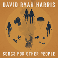 Fascinating - David Ryan Harris