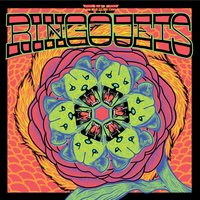 Shake Your Hips - The Ringo Jets
