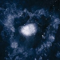 No Words/No Thoughts - Swans