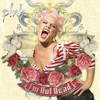 Nobody Knows - P!nk