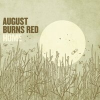 Shot Below The Belt - August Burns Red