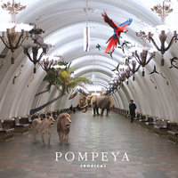 Tropical - Pompeya
