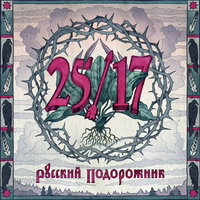 Подорожник - 25/17, Дмитрий Ревякин