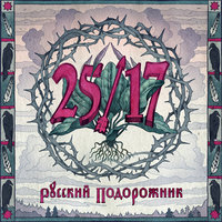 Горький туман - 25/17