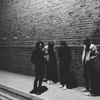 100 Goosebumps - FEWS